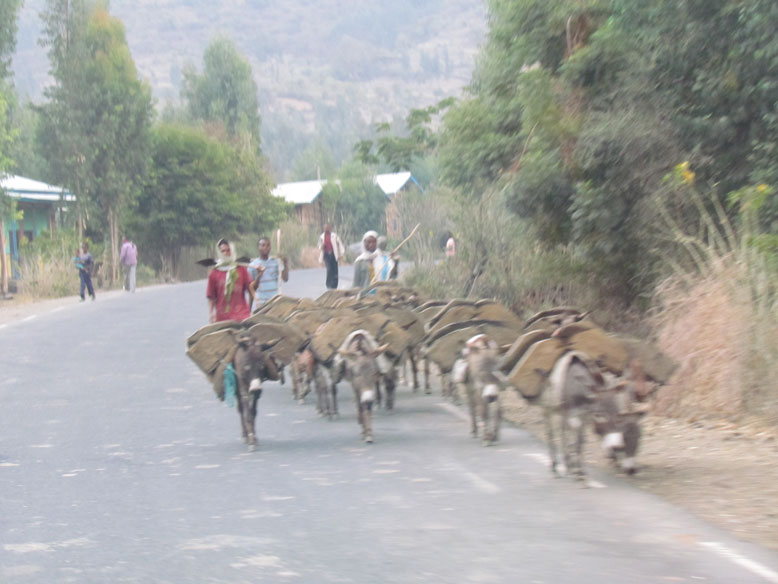 no hay ningun tipo de maquinaria, solo animal